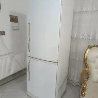 یخچال فریزر الکترواستیل لاکاغذی