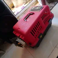 قفس سگ