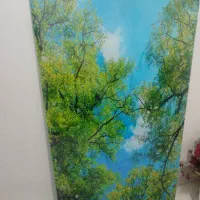 شیشه سقف سرویس و راهرو