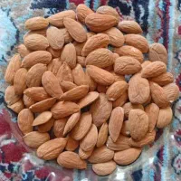 فروش انوام بادام درختی ،شمال فارس
