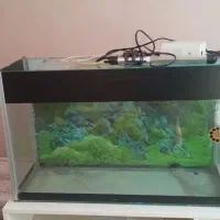 آکواریوم با اکسیژن و بخاری ۹۰۰ هزار