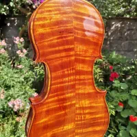 ویالن دست‌ساز برند Stagg|ویولن|نشتارود, |دیوار