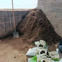 خاک برگ تیرچین|گل و گیاه طبیعی|محلات, |دیوار