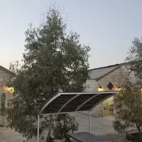 باغ-تالار-امیران