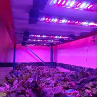 پنل و چراغ رشدگیاه smd گلخانه ایندور،کود،فیلترکربن|گل و گیاه طبیعی|تهران, لاله زار|دیوار