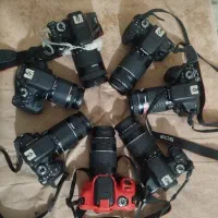 عکاس استخدام عکاس فقط خانوم