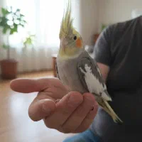 کی می‌خواد هم‌نفس آوازهای بی‌دلیل باشه