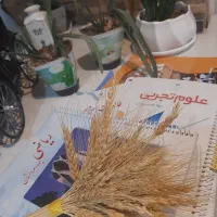 تدریس خصوصی و گروهی دروس ابتدایی و متوسطه اول|خدمات آموزشی|تهران, فدک|دیوار