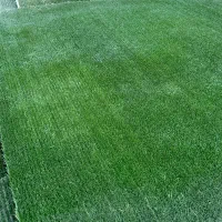 چمن مصنوعی کارکرده