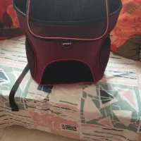 کوله حمل گربه