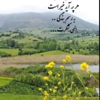 تعدادی کارت گمشده