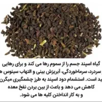 اسپند کوهی درجه یک