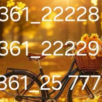 تعدای خط تلفن ثابت بسیار رند