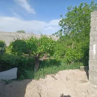 باغچه ۳۵۰ متر درختی داخل مجموعه با سند شهریار|فروش زمین و ملک کلنگی|شهریار, رنگرز|دیوار