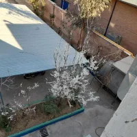 دعوت به همکاری حسابدار