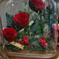 گل روز جاودان|گل مصنوعی|مشهد, آزادشهر|دیوار