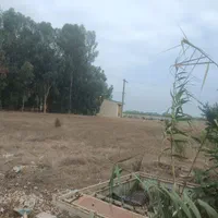 فروش ۳  هکتار زمین در منطقه اآزاد تجاری  چپکرود|فروش دفتر صنعتی، کشاورزی، تجاری|جویبار, |دیوار