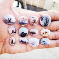 تعداد 60 عدد سنگ شجر|بدلیجات|تهران, هفت حوض|دیوار