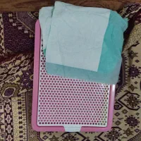 جای دستشویی سگ