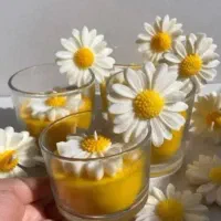 آموزش شمع سازی ورکشاپ شمع سازی یادگیری شمع|خدمات آموزشی|مشهد, آزادشهر|دیوار