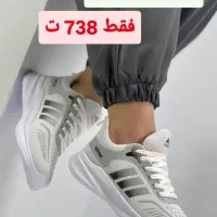 همه مدل کفش حراج بدلیل تغییر شغل تصاویر|حراج|گنبد کاووس, |دیوار