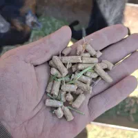 خوراک دام ویژه 15 کیسه|حیوانات مزرعه|پاسارگاد, |دیوار