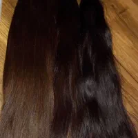 موی طبیعی هم‌گرمی هم شاخه ای عکسارو تا آخر ببینید