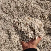 تفاله چغندر میاندواب|حیوانات مزرعه|لیلان, |دیوار