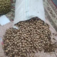 گردو|خوردنی و آشامیدنی|بردسیر, |دیوار