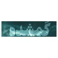 پیداشده