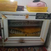 دستتگاه جوجه کشی ۳۳۰ تایی