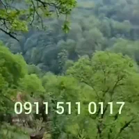 سیم کارت همراه اول09115110117