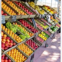 فروش همه مدل میوه از میدان به رستوران ومغازه