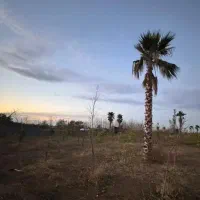 فروش-زمین-شهرکی-پلاک-1-دل-جنگل-کنار-دریاچه