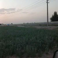 زمین-کشاورزی