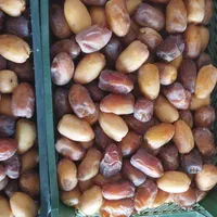 رطب عسلی|حراج|تهران, صاحب الزمان|دیوار