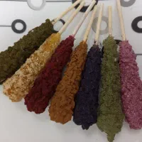 نبات چوبی گیاهی