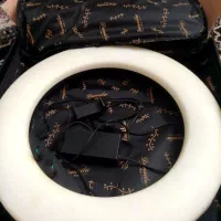 رینگ لایت