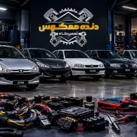 تعمیر تخصصی برق وسیم کشی خانواده پژو