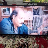 تلویزیون ۴۳ سامسونگ