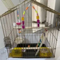 قفس با لوازم