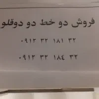 ۰۹۱۲۳۲۱۸۱۳۲.۰۹۱۲۳۲۱۸۴۳۲|سیم‌کارت|تهران, نازی‌آباد|دیوار