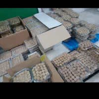 حبه عناب فروشی|خوردنی و آشامیدنی|سراوان, |دیوار