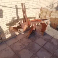 تراکتور گلدونی 938 آلمان|خودرو سنگین|رفسنجان, |دیوار