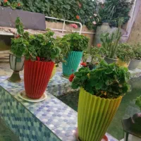 سرایدار با جای خواب