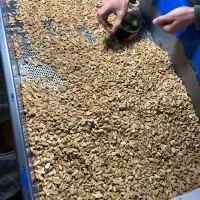 نیروی اقا برای کارگاه بادام