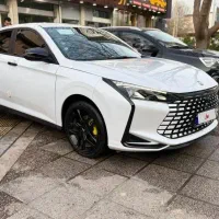 فروش لاماری اکو