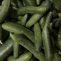 خیار تلخ مخصوص خیارشور