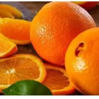 پرتقال تامسون درجه یک شمال|حراج|لنگرود, |دیوار