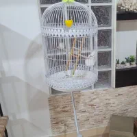 قفس پایه دار